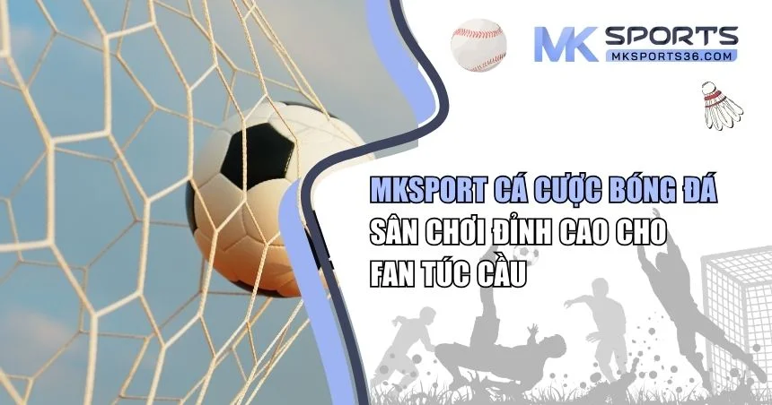 MKSPORT cá cược bóng đá