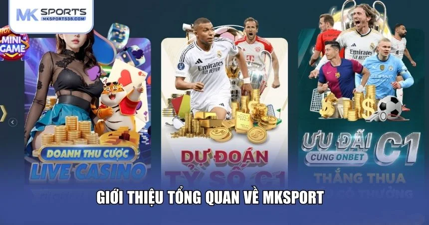 Giới thiệu tổng quan về MKSPORT